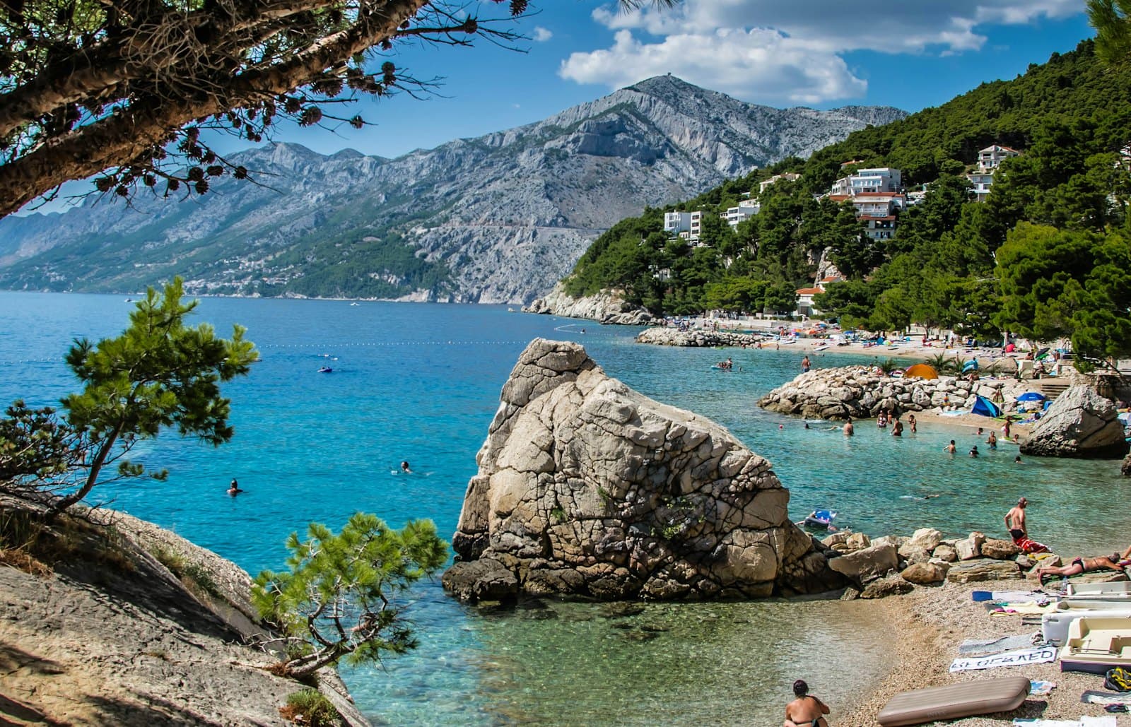 A turquoise Adriatic cove on the Croatian coast — pine-covered cliffs, a rocky outcrop and crystal-clear water, the kind of destination AIOSTR's rentals sit in.